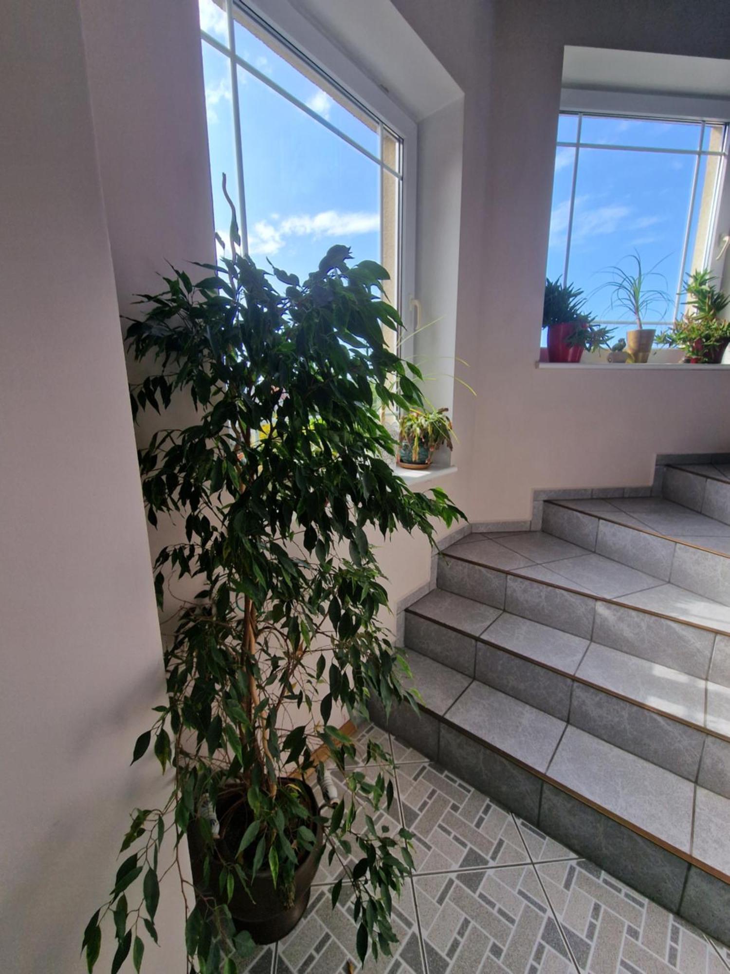 Villa Victoria 莱鲍 外观 照片